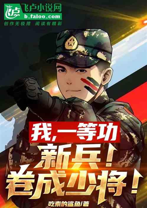 我，一等功新兵！卷成少将！