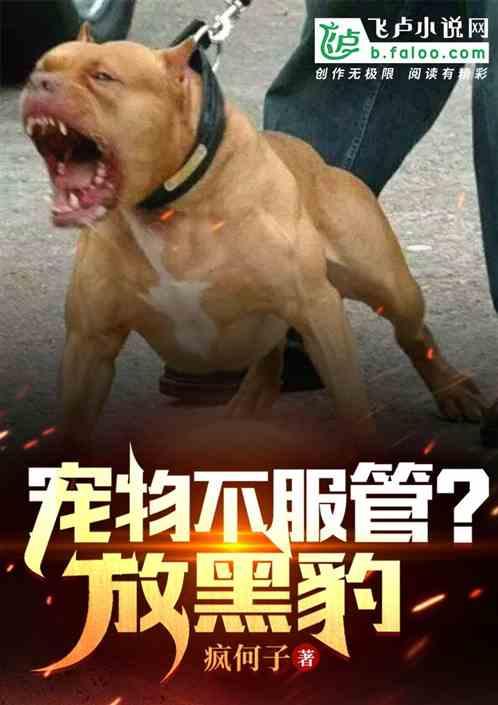 宠物不服管？放黑豹