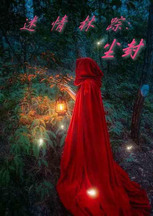 迷情林踪：尘封