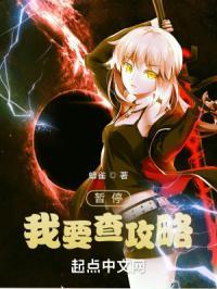 暂停！我要查攻略